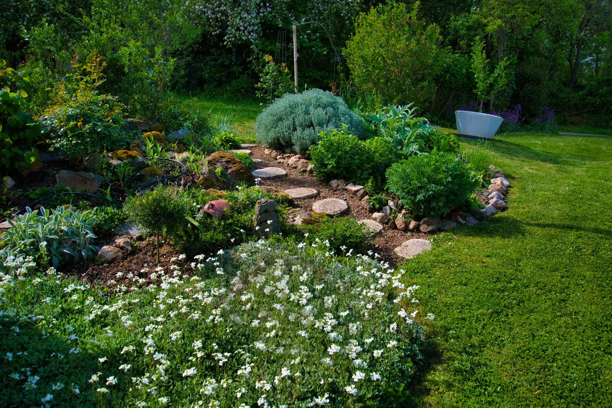 Lush garden with flowering beds and a stone path
